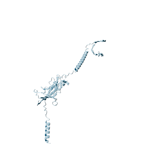 Biotinylated Human SLAMF1 (C-6His-Avi, HEK293)
